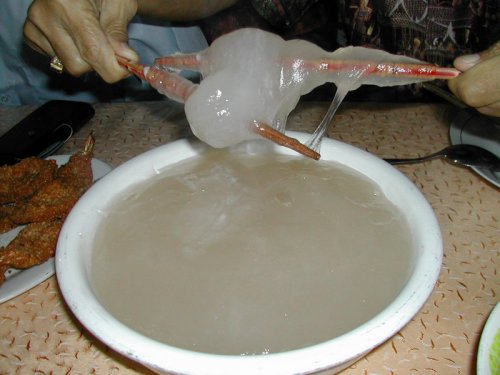 papeda sagu
